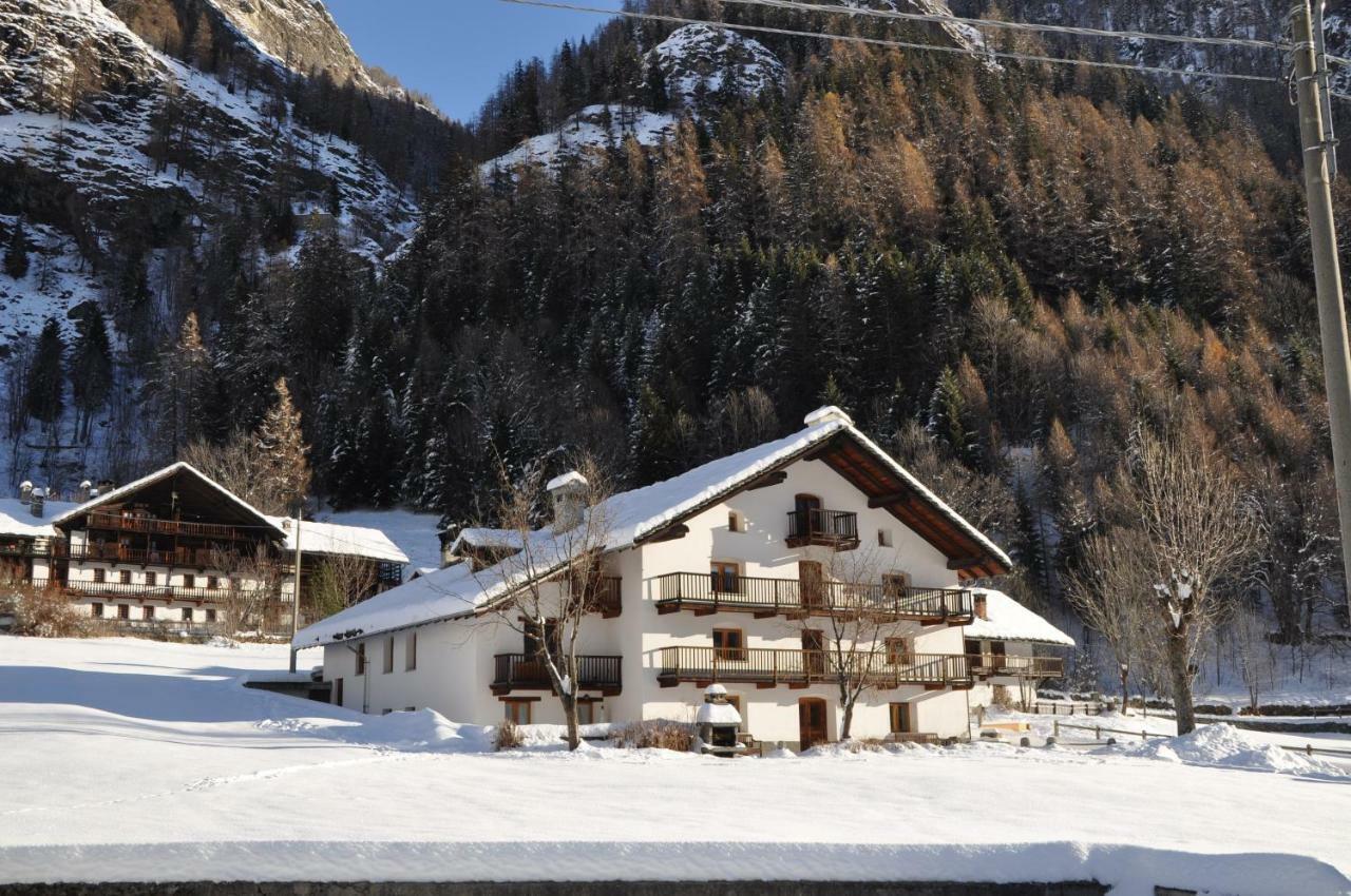 Flora Alpina Apartments-Residenza Verdebjo Gressoney-Saint-Jean Exterior photo